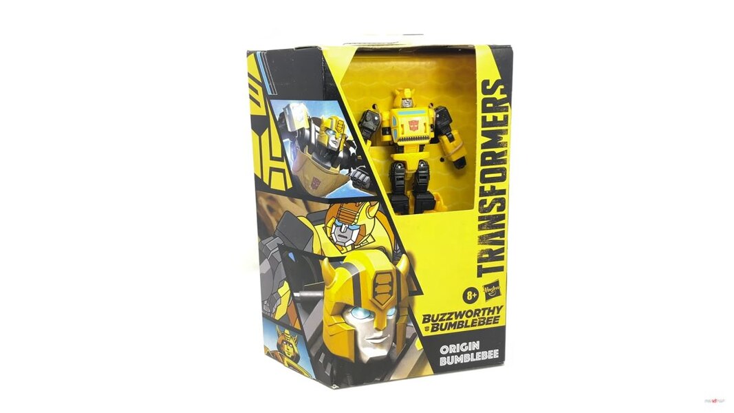 Transformers War For Cybertron Buzzworthy Origin Bumblebee  (7 of 54)